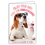 Carte Bon Anniversaire Humoristique avec Enveloppe Illustrée format 17 5x12cm Chien Drôle Amusant Rigolo avec des Lunettes de soleil et une Glace Cerises - Création Fabrication française 69-6208