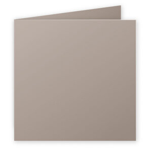Paquet de 25 cartes 210g pliées 135x135 gris acier clairefontaine