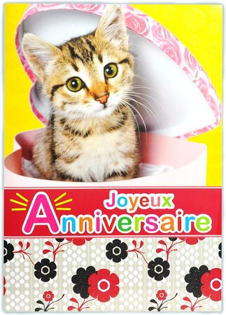 Maxi grande carte géante joyeux anniversaire chat chaton cœur avec enveloppe