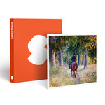 SMARTBOX - Coffret Cadeau Leçon d'équitation ou agréable balade à cheval - Sport & Aventure