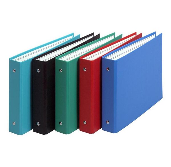 Classeur 2 Anneaux 24 x 16cm pour fiches bristol 125x200 / A5, couleur aléatoire EXACOMPTA