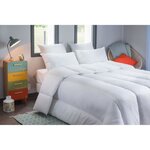 Couette tres chaude Percale - Anti-acariens- 240 x 260 cm