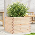vidaXL Jardinière 60x60x45 5 cm bois de pin massif