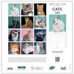Grand Calendrier Mural 29x29  cm - 2025 - Chats - Draeger