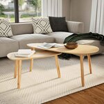vidaXL Ensemble de tables basses 2 Pièces Bois de pin massif Marron