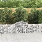 vidaXL Paniers à gabions arqués 20 Pièces 200x30x60/80 cm Fer galvanisé