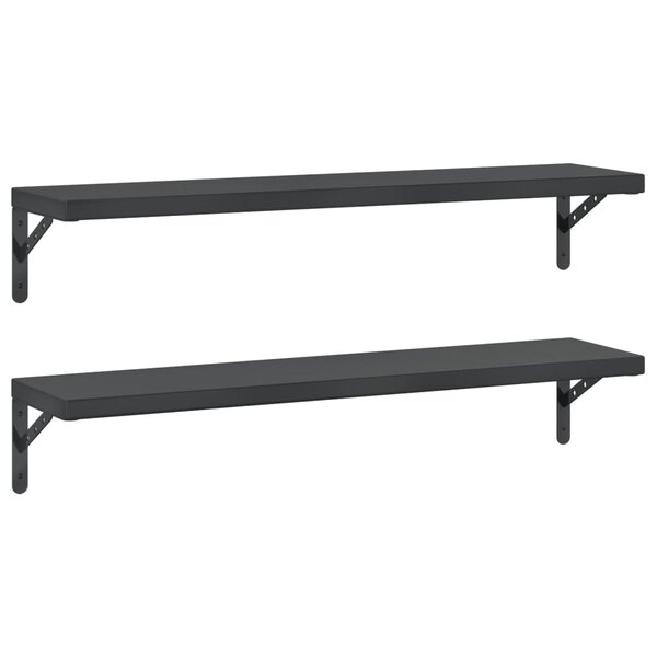 vidaXL Étagères murales 2 Pièces 100x23 5 cm noir acier inoxydable