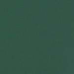 vidaXL Auvent latéral rétractable vert foncé 120x600 cm