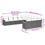 vidaXL Salon de jardin 11 Pièces avec coussins noir résine tressée