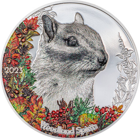 Pièce de monnaie en Argent 500 Togrog g 31.1 (1 oz) Millésime 2023 Woodland Spirit CHIPMUNK