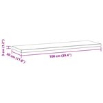 vidaXL Étagères murales 2 Pièces 100x30x3 cm argenté acier inoxydable