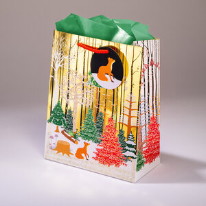 Sac cadeau rouky mml 20 x h 25 écureuil