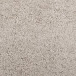 vidaXL Tapis shaggy PAMPLONA poils longs moderne beige 80x250 cm