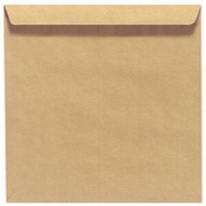 100 ex Grande enveloppe avec fenetre pochette courrier A4 C4 papier kraft  blanc 90 g format 229 x 324 mm une enveloppe blanche a154 - Cdiscount  Beaux-Arts et Loisirs créatifs