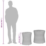 vidaXL Tables d'appoint de jardin 2 Pièces dessus en bois gris poly rotin