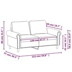 vidaXL Canapé à 2 places Noir 120 cm Velours