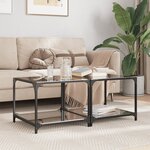 vidaXL Tables basses avec dessus en verre noir 2 Pièces 50x50x40 cm acier