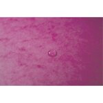 Chemise À Élastique Sans Rabats Carte Lustrée 355gm2 - A4 - Rose - X 25 - Exacompta