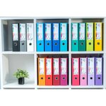 Classeur À Levier Prem'touch Intérieur Et Extérieur En Polypropylène - Dos 80mm - A4 Maxi - Vert - X 10 - Exacompta