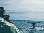 SMARTBOX - Coffret Cadeau Séjour en Islande : 4 jours avec aurores boréales et observation des baleines pour 2 -  Séjour