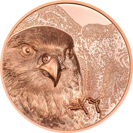 Monnaie en cuivre 250 togrog g 50 millésime 2023 wild mongolia falcon