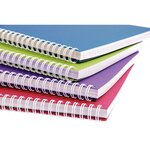 Cahier Linicolor Intensive 100 pages 5x5 A4 CLAIREFONTAINE