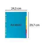 Intercalaires En Polypropylène 6 Positions Campus - A4 Maxi - Translucide - X 25 - Exacompta