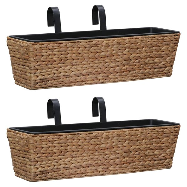 vidaXL Jardinières 2 Pièces Jacinthe d'eau