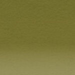 Crayon de couleur Derwent Coloursoft Vert lichen C500