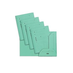 Lot de 25 Sous dossiers chemise 2 rabats HV 240g Vert L'OBLIQUE AZ