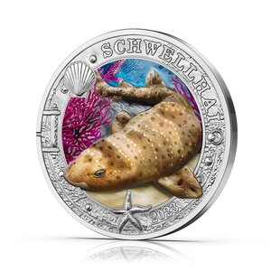 Pièce de monnaie 3 euro Autriche 2023 – Requin dit holbiche ventrue