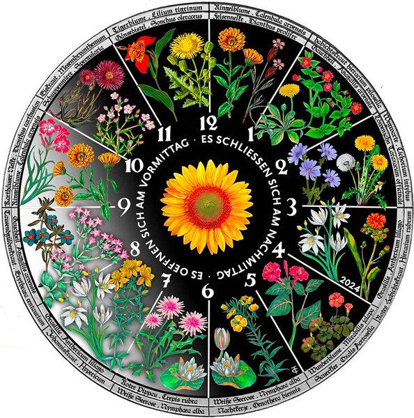 Pièce de monnaie en Argent 30 Dollars g 93.3 (3 oz) Millésime 2024 Floral Clock HOROLOGIUM FLORAE