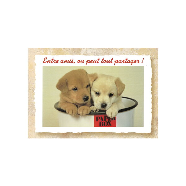 Carte message - chiots  "entre amis  on peut tout partager"