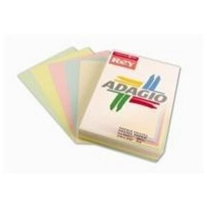 Ramette 100 feuilles x 5 teintes ADAGIO 80g format A4 assortis pastel et... PAPETERIES DE FRANCE