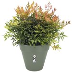 Pot de fleurs Rond LOFT URBAN - Plastique - Percé - Réservoir - Avec roulettes - Ø 40 - Vert