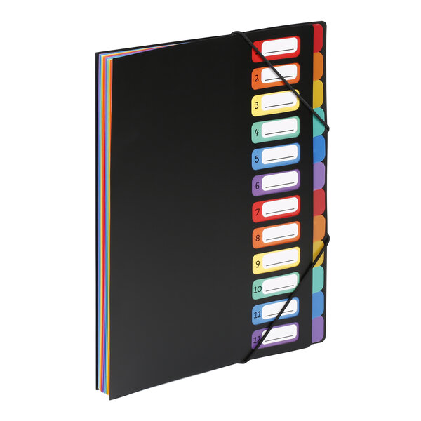 Trieur accordéon 12 compartiments en plastique format A4 - Rainbow Class