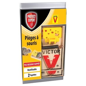 Protect Expert SOUTAP2 Pieges a Souris - 2 Tapettes Bois Pex