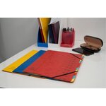 Trieur Agrafé Avec Élastiques 12 Compartiments - Couleurs Assorties - X 8 - Exacompta