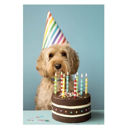 Carte De Voeux - Chien Anniversaire - Draeger paris