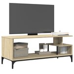 vidaXL Meuble TV bois d'ingénierie et acier enduit de poudre