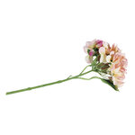 Hortensia Rose oeillet 33cm