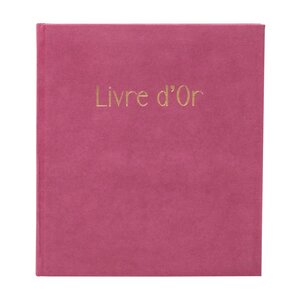 Livre D'or 140 Pages Tranche Or Skandi - Vieux Rose - Exacompta