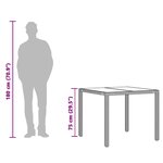 vidaXL Table de jardin dessus en verre Noir 90x90x75 cm Résine tressée
