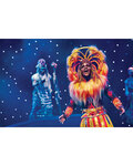 Coffret cadeau - TICKETBOX - Disneyland Paris - Séjour 2 Jours / 1 Nuit