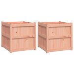 vidaXL Jardinières 2 Pièces bois massif douglas