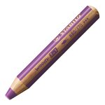 Etui de 10 crayons Woody 30 ans + 1 taille-crayon