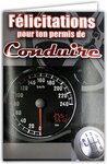 Carte Félicitations pour ton permis de Conduire Voiture avec Enveloppe 12x17 5cm