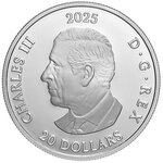Pièce de monnaie en Argent 20 Dollars g 31.39 Millésime 2025 AVRO ARROW