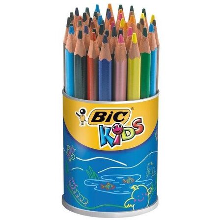 Pot de 48 crayons de couleur ECO KIDS EVOLUTION TRIANGLE 12 Couleurs BIC