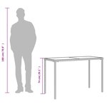 vidaXL Table de jardin dessus en verre gris 115x54x74cm résine tressée